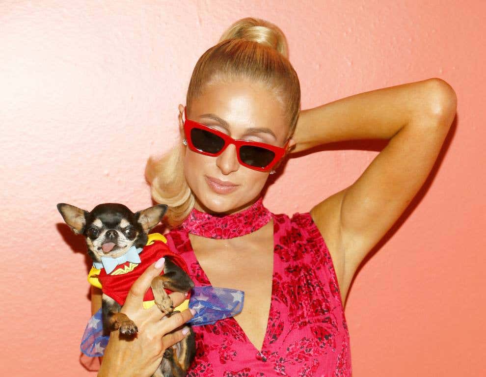 Paris Hilton and her dog attend the Alice + Olivia by Stacey Bendet arrivals