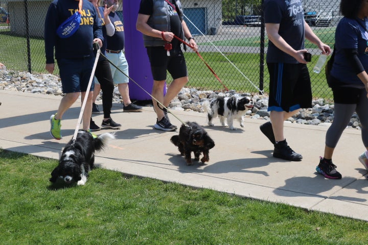 Best-Buddies-Walk-Dogs.jpg