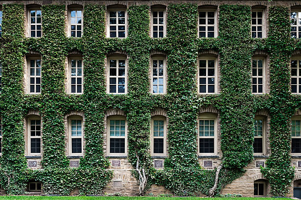 Princeton university building